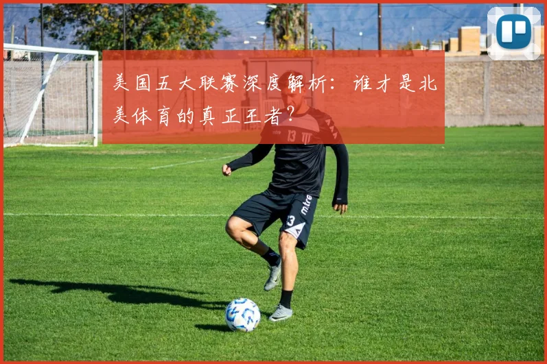 美国五大联赛深度解析：谁才是北美体育的真正王者？