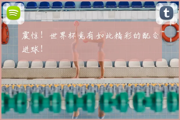 震惊!世界杯竟有如此精彩的配合进球!